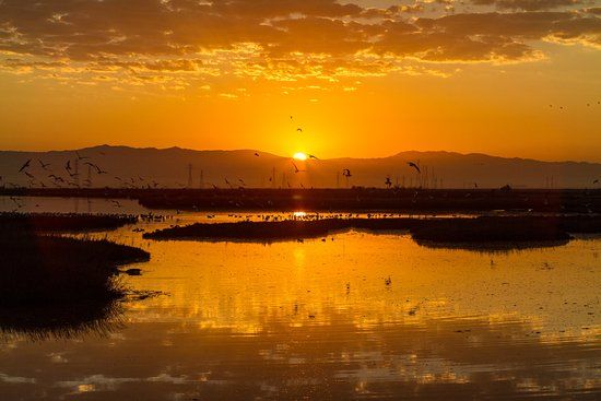 Bedwell Bayfront Park
